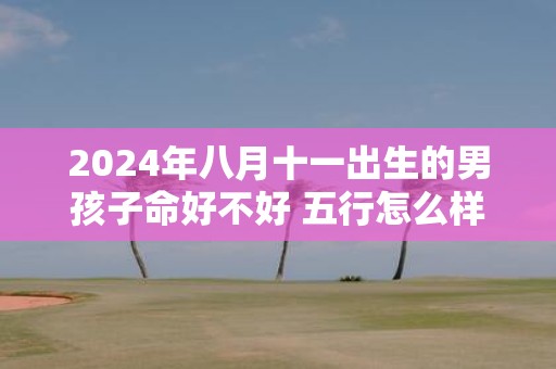 2025年八月十一出生的男孩子命好不好 五行怎么样