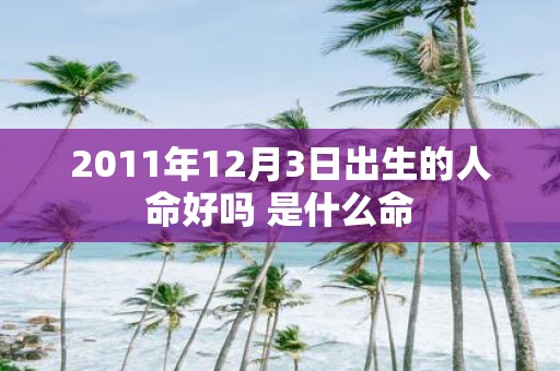 2011年12月3日出生的人命好吗 是什么命