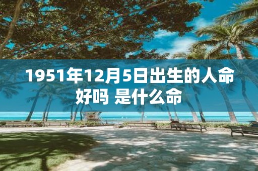 1951年12月5日出生的人命好吗 是什么命
