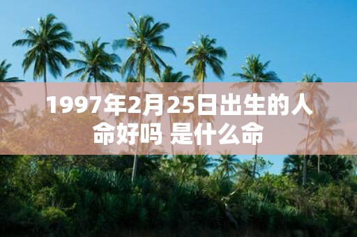1997年2月25日出生的人命好吗 是什么命