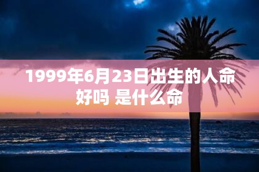 1999年6月23日出生的人命好吗 是什么命