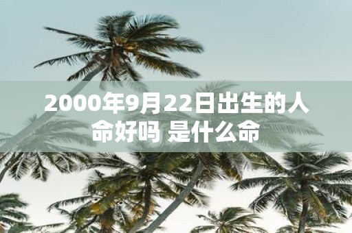 2000年9月22日出生的人命好吗 是什么命