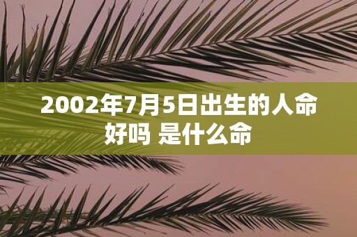 2002年7月5日出生的人命好吗 是什么命