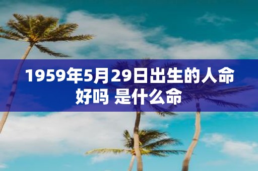 1959年5月29日出生的人命好吗 是什么命