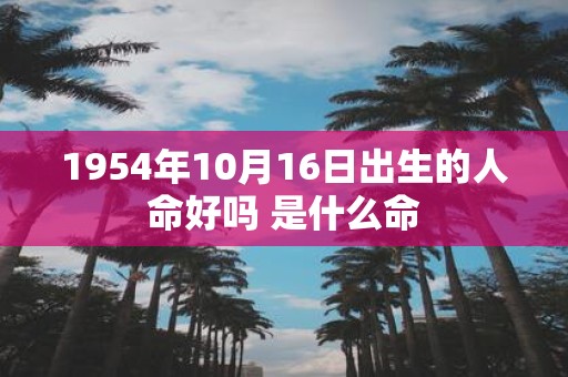1954年10月16日出生的人命好吗 是什么命