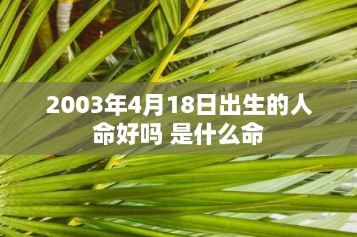 2003年4月18日出生的人命好吗 是什么命