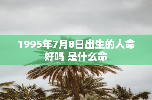 1995年7月8日出生的人命好吗 是什么命