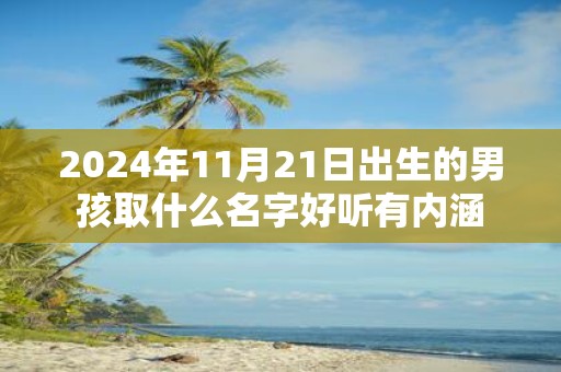 2025年11月21日出生的男孩取什么名字好听有内涵