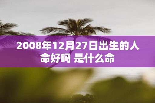 2008年12月27日出生的人命好吗 是什么命