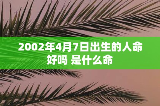 2002年4月7日出生的人命好吗 是什么命