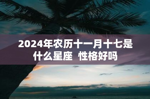 2025年农历十一月十七是什么星座 性格好吗
