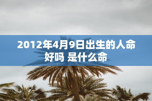 2012年4月9日出生的人命好吗 是什么命