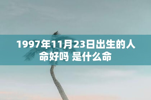 1997年11月23日出生的人命好吗 是什么命