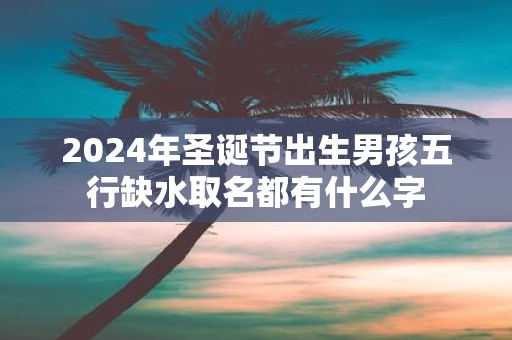 2025年圣诞节出生男孩五行缺水取名都有什么字