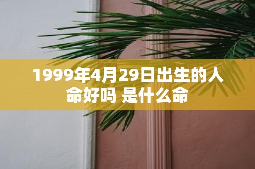 1999年4月29日出生的人命好吗 是什么命