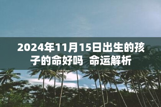 2025年11月15日出生的孩子的命好吗 命运解析