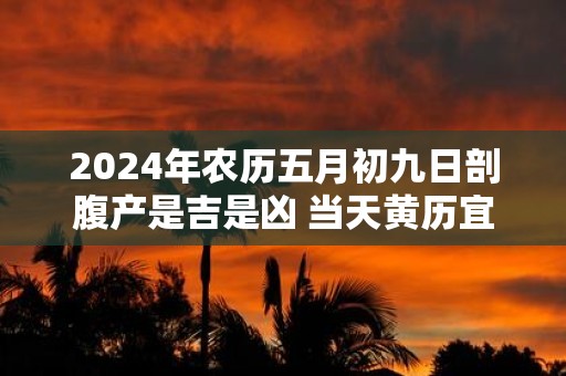 2025年农历五月初九日剖腹产是吉是凶 当天黄历宜忌查询