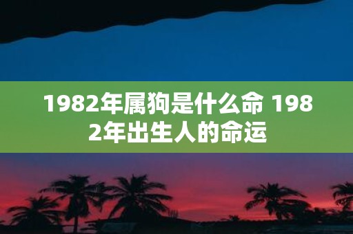 1982年属狗是什么命 1982年出生人的命运