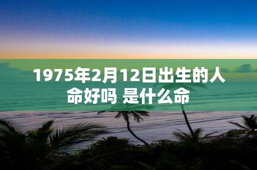 1975年2月12日出生的人命好吗 是什么命