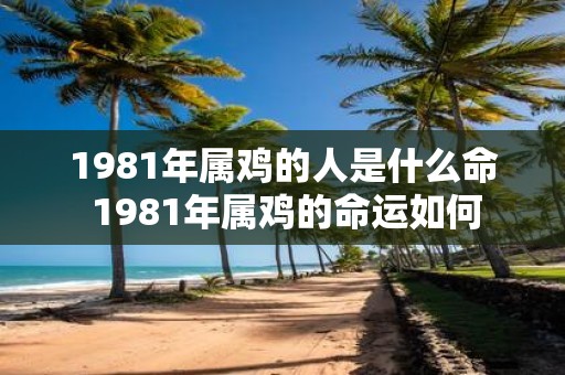 1981年属鸡的人是什么命 1981年属鸡的命运如何