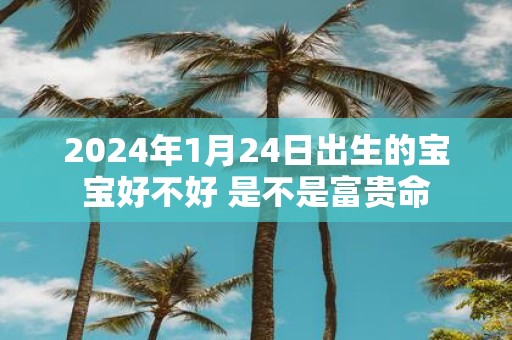 2025年1月24日出生的宝宝好不好 是不是富贵命