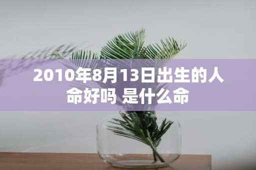 2010年8月13日出生的人命好吗 是什么命