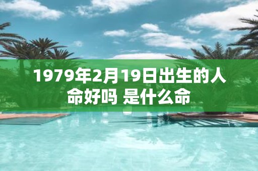 1979年2月19日出生的人命好吗 是什么命