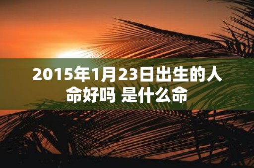 2015年1月23日出生的人命好吗 是什么命