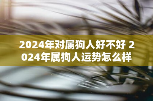 2025年对属狗人好不好 2025年属狗人运势怎么样