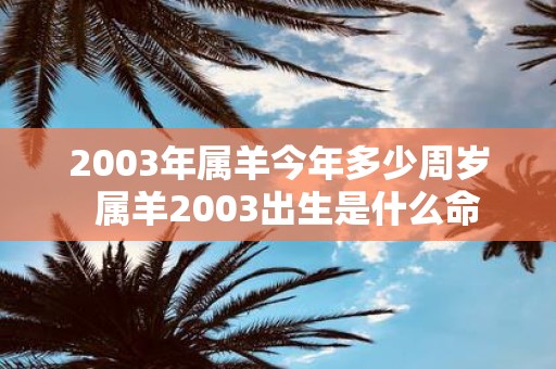 2003年属羊今年多少周岁 属羊2003出生是什么命
