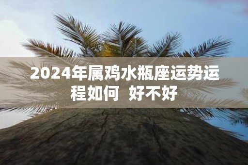 2025年属鸡水瓶座运势运程如何 好不好