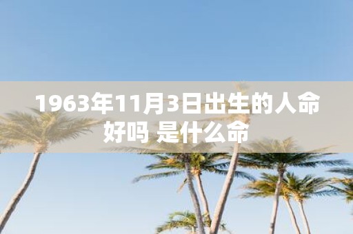 1963年11月3日出生的人命好吗 是什么命