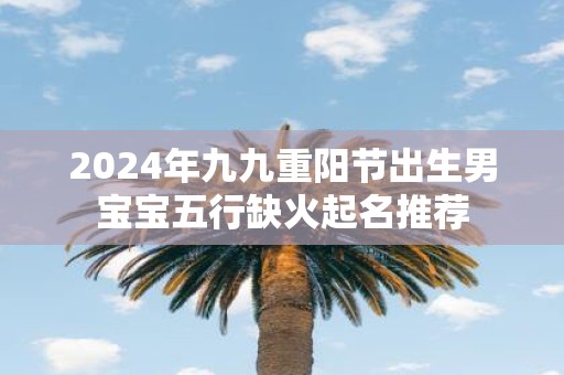 2025年九九重阳节出生男宝宝五行缺火起名推荐