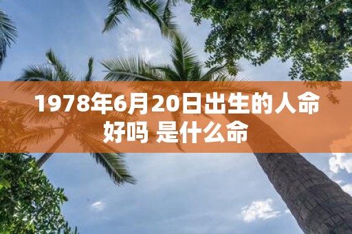 1978年6月20日出生的人命好吗 是什么命