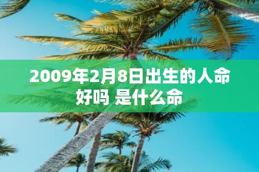 2009年2月8日出生的人命好吗 是什么命