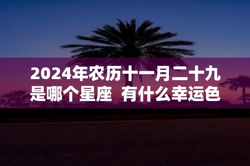 2025年农历十一月二十九是哪个星座 有什么幸运色