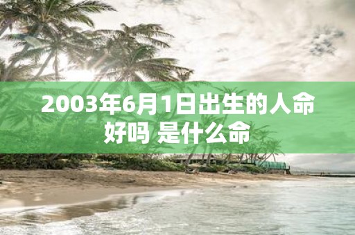 2003年6月1日出生的人命好吗 是什么命