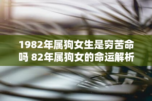 1982年属狗女生是穷苦命吗 82年属狗女的命运解析