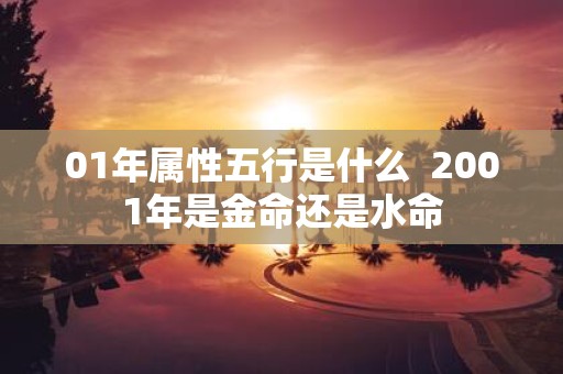01年属性五行是什么 2001年是金命还是水命