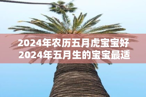 2025年农历五月虎宝宝好 2025年五月生的宝宝最适合属虎吗