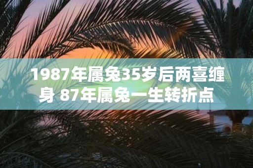 1987年属兔35岁后两喜缠身 87年属兔一生转折点