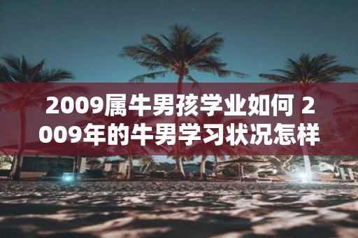 2009属牛男孩学业如何 2009年的牛男学习状况怎样