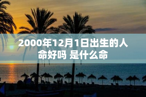 2000年12月1日出生的人命好吗 是什么命