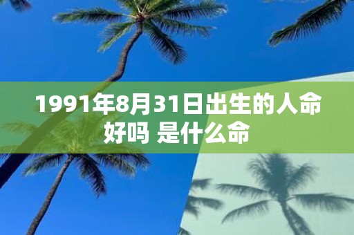 1991年8月31日出生的人命好吗 是什么命