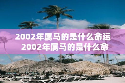 2002年属马的是什么命运 2002年属马的是什么命