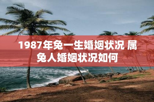 1987年兔一生婚姻状况 属兔人婚姻状况如何