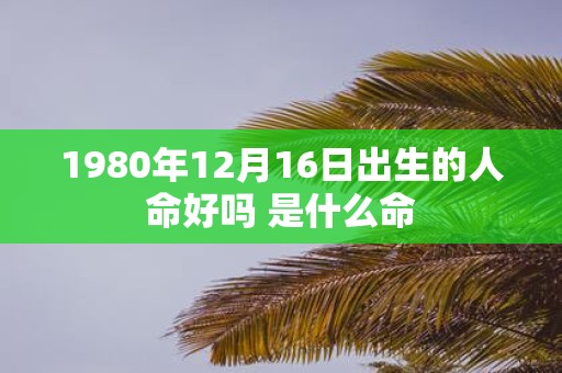 1980年12月16日出生的人命好吗 是什么命