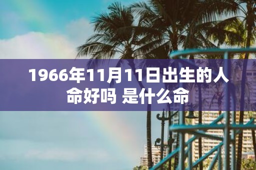 1966年11月11日出生的人命好吗 是什么命
