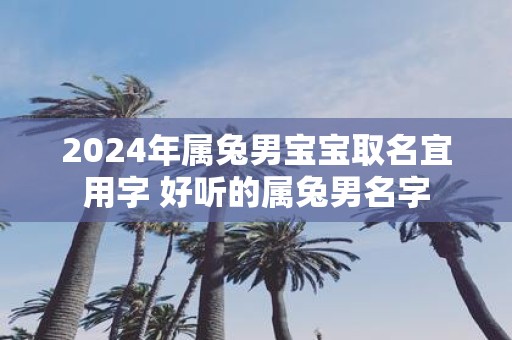 2025年属兔男宝宝取名宜用字 好听的属兔男名字