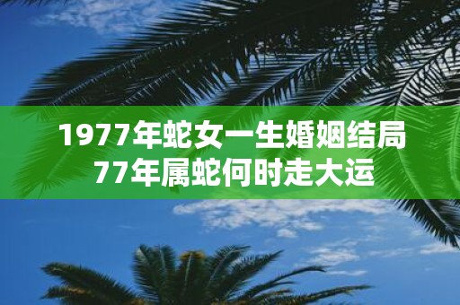 1977年蛇女一生婚姻结局 77年属蛇何时走大运